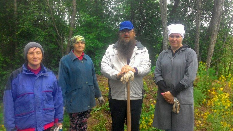 Деревня троицкое погода. Село Троицкое Вологодская область. Сельское поселение Киснемское.