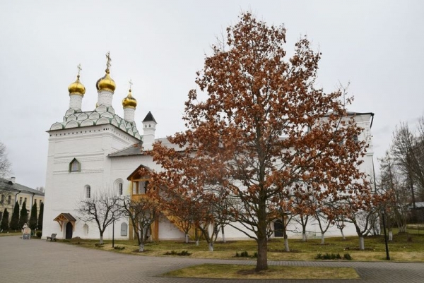 Паломники из Вологодской митрополии посетили ставропигиальные монастыри Подмосковья